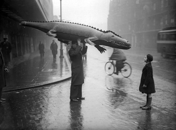 1457570_767303879952411_397836307_n