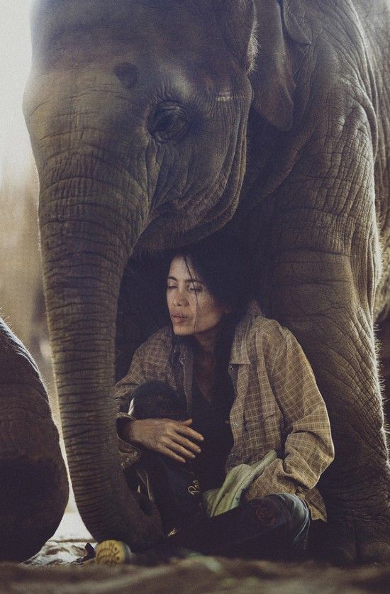 29a9328b225d104d8af5159bf20fda7c