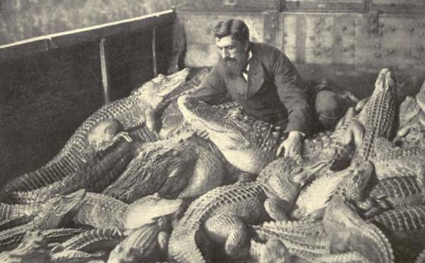 Alfred-And-Henrietta-Share-A-Momentary-Public-Display-Of-Affection