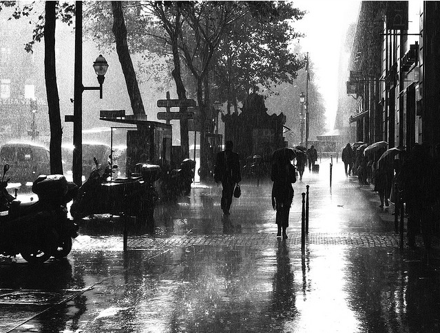 Paris_rain