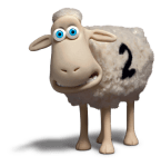sheep-2