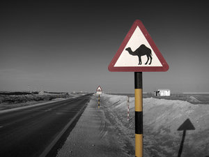 desert_road_near_wakra__qatar_by_giardqatar-d4m6fkb