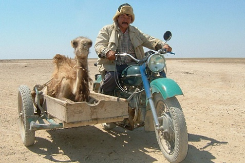 8cb7fd9feda3c6cf16723b19d42b5c8f