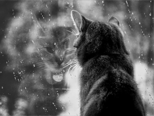 rain__rain__go_away_by_PrettyMoment