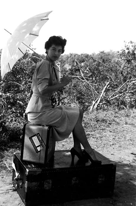 11216699_10153744490130086_2769949260994454878_n