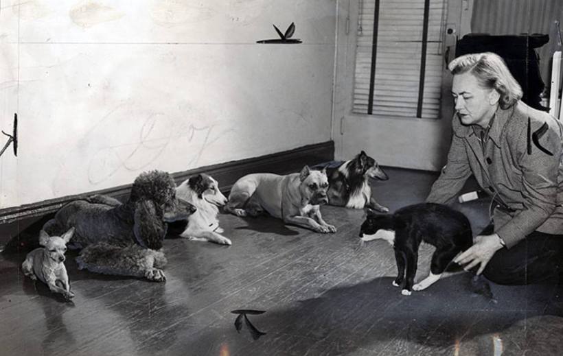 11930849_952087728163690_2286997219518898387_o