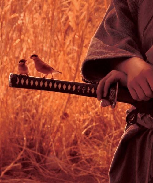 12109050_761065384021031_865433753061885507_n