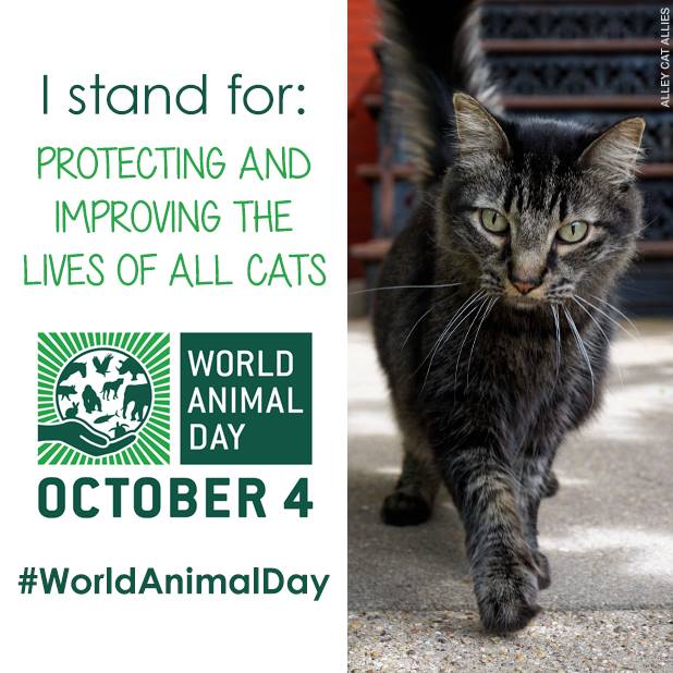 12122787_10153564247272088_3380884591648567657_n