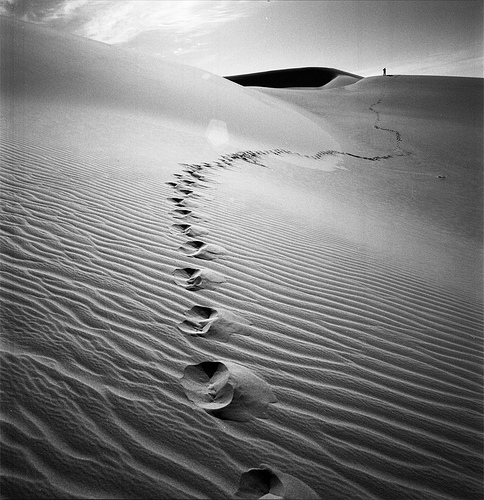 5097371100_68fcf6aeb4