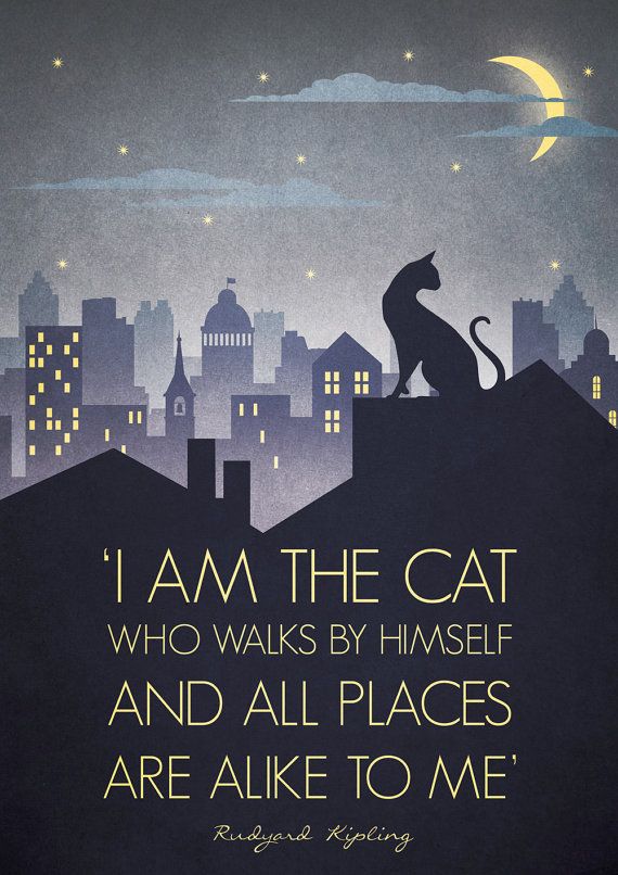 4ff9f450b38a3beca366b7cebc056bb8