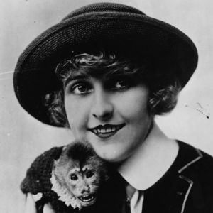 MTE4MDAzNDEwNzI0NDIzMTgy