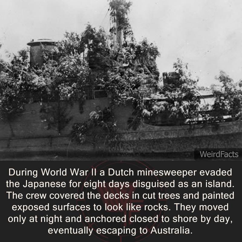 13241258_1292867584064263_8869419576413560107_n