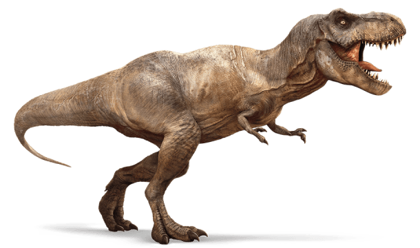 t-rex_2