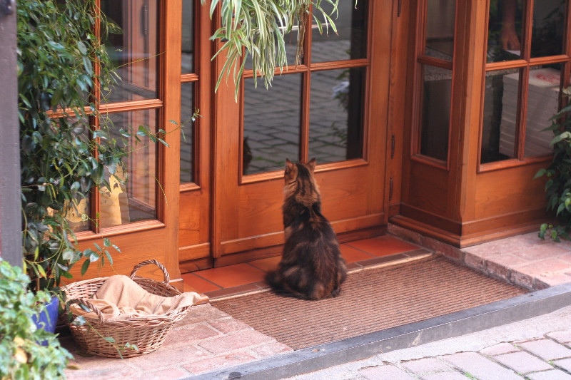 img_4194_cr2_embedded