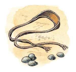 SLING &amp; STONES/ David V Goliath - ILLUSTRATION