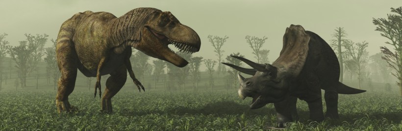 istock_000014107763large-h