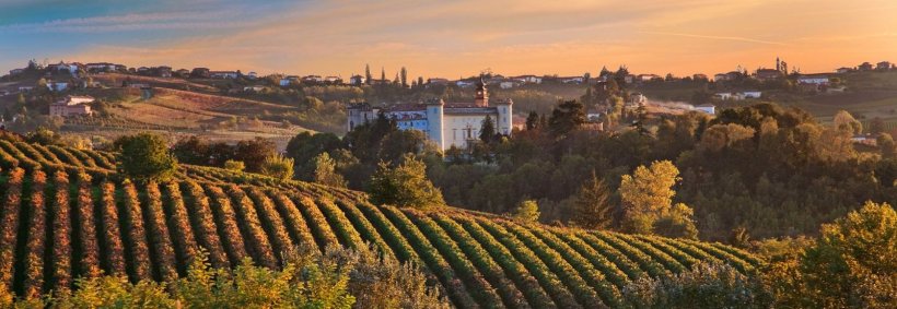 95526124-5437-4679-8b8a-6c5356d5943f