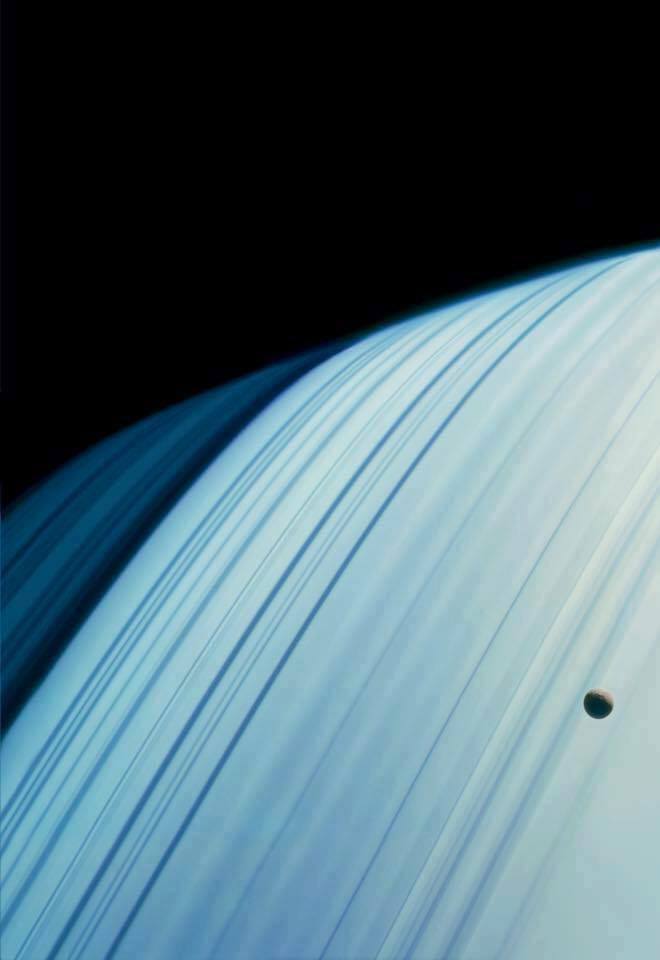 18814402_1383667661699807_1403534799218918967_n