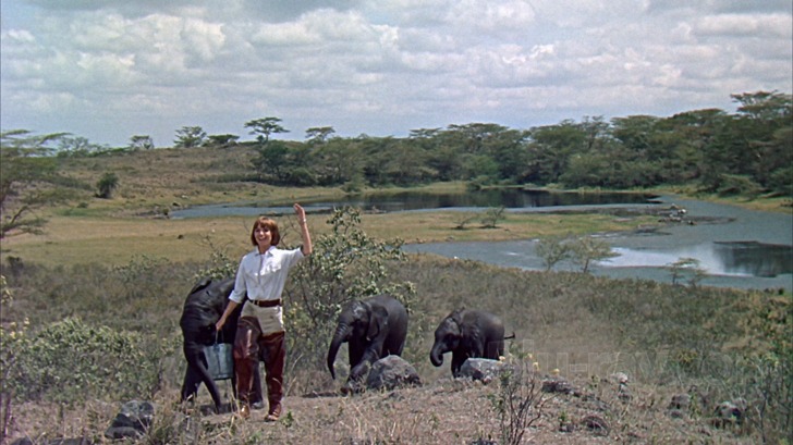 929a2797365f8f41e96a27a6d90c4ef6