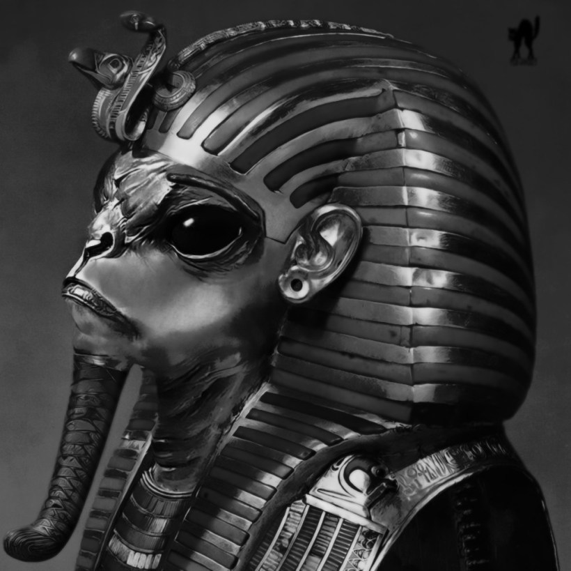 black pharaoh
