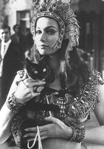 aa117ebe2ef23034997a167da91a67ff