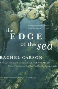 EdgeOfTheSea