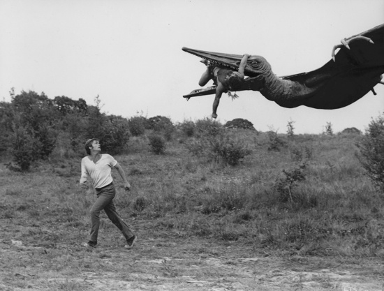 forgot_5_1343755182_crop_550x417