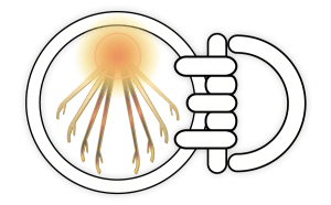 Logo-900x560-300x186