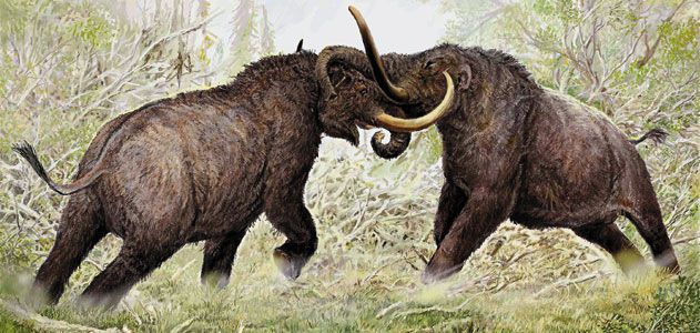 Mammoths-mastadons-631