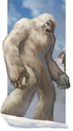 yeti