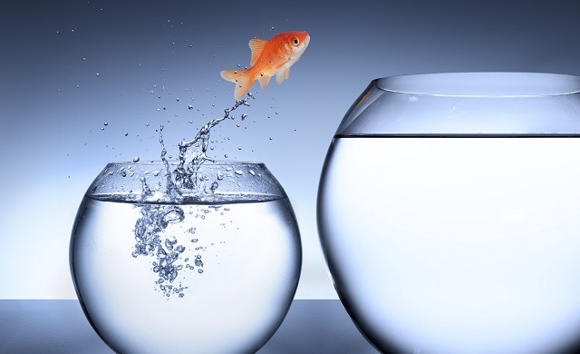 Business-growth-2015-640x390